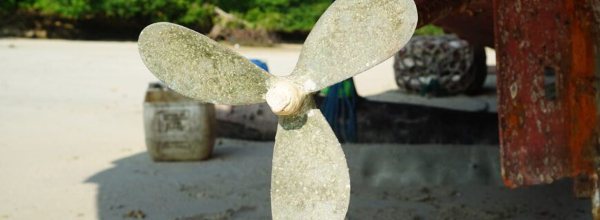 wmremove-transformed (27)